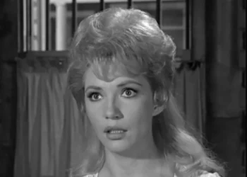 Jenny Lee Arness: A Heart-Touching Story of Life, Light & Loss