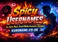 Spicy Usernames